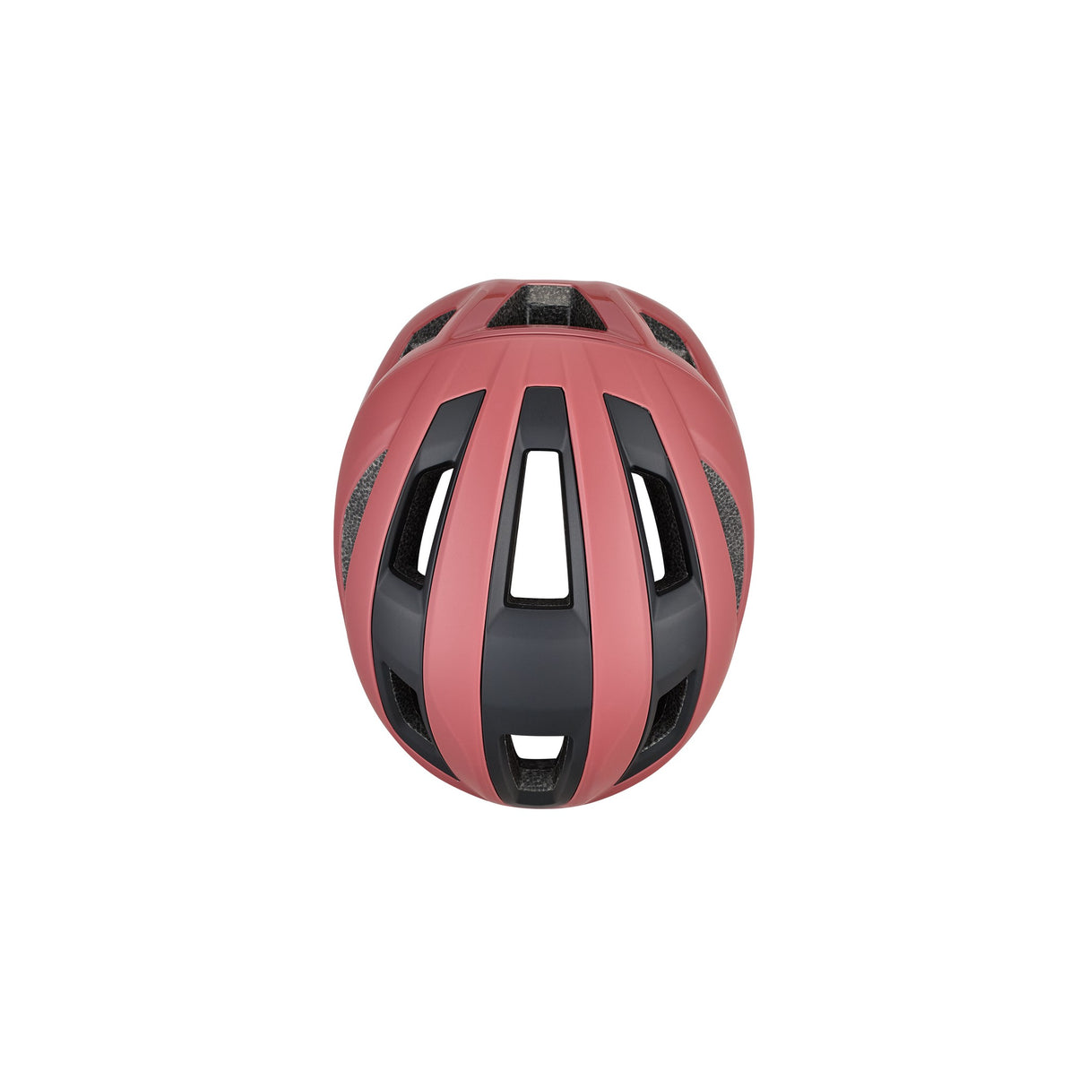 Search MIPS Evolve Core Helmet