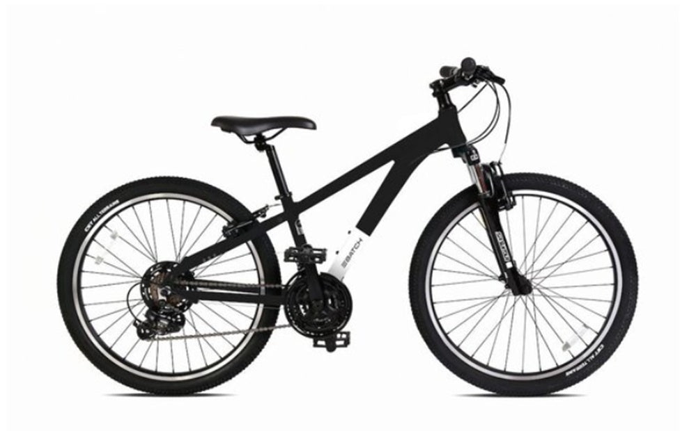 Batch Youth 24" Mountain Bike