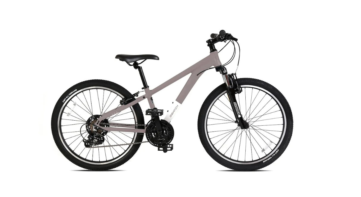 Batch Youth 24" Mountain Bike