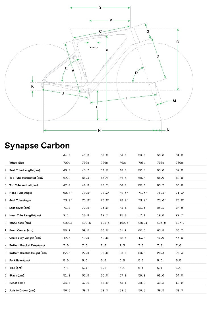 Cannondale Synapse Carbon 4 Road Bike