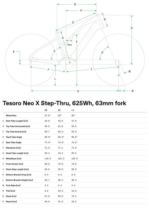 Cannondale Tesoro X 2 Alloy Step Thru 10 Speed E-Touring Bike
