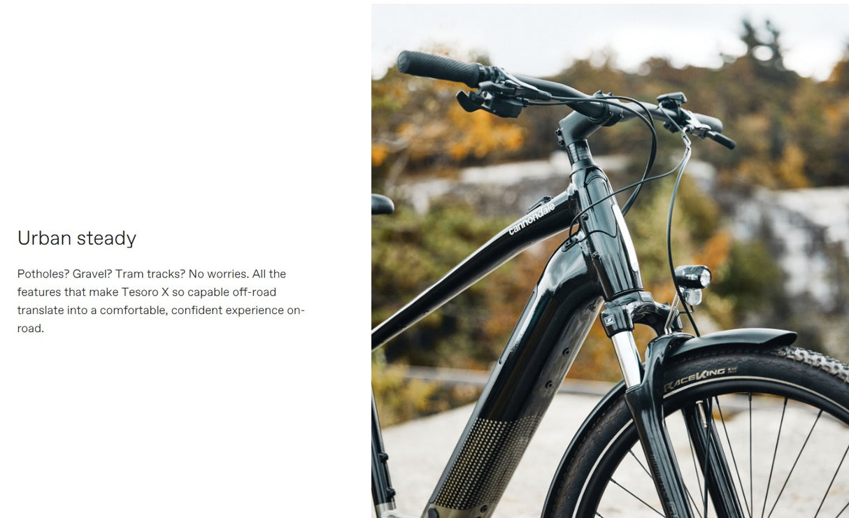Cannondale Tesoro X 2 Touring E-Bike
