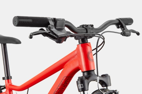 2022 Cannondale Kids Trail 24 Mountain Bike (Recommended for height 4'1" - 4'6")
