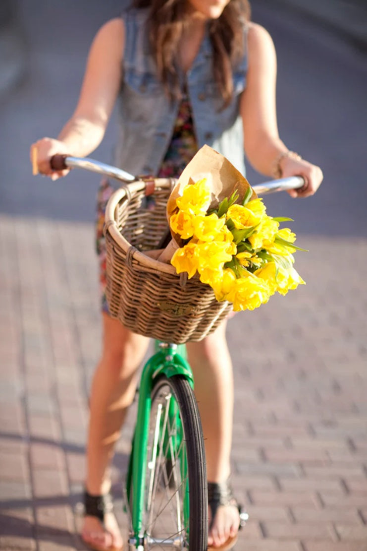 Nantucket Bike Co. Tuckernuck Oval Basket