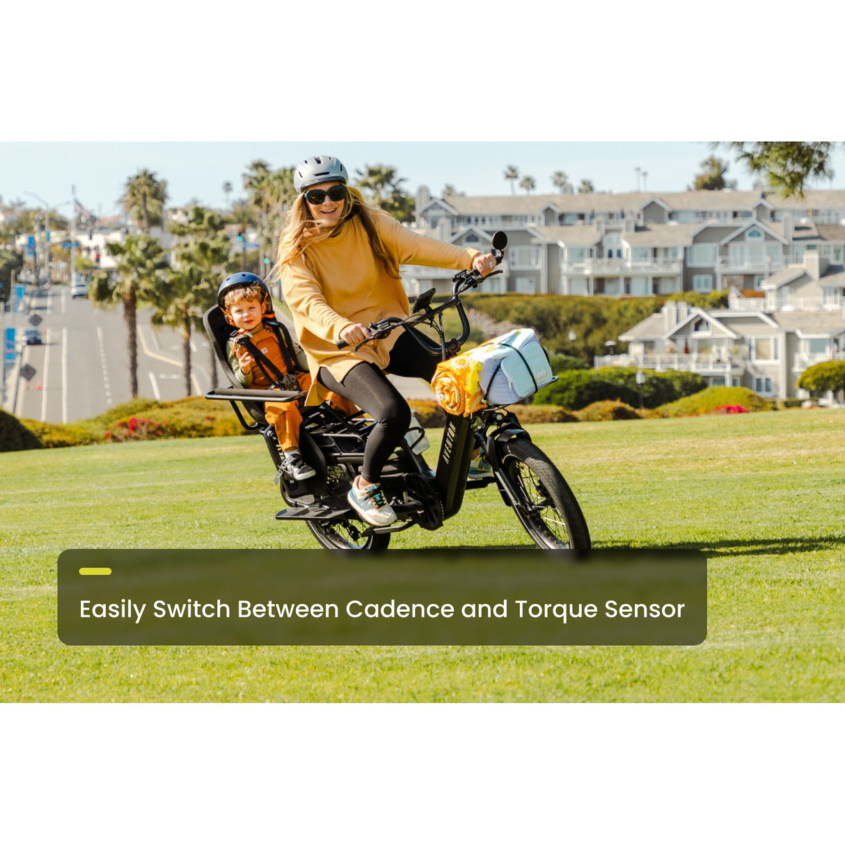 Abound LR Ebike