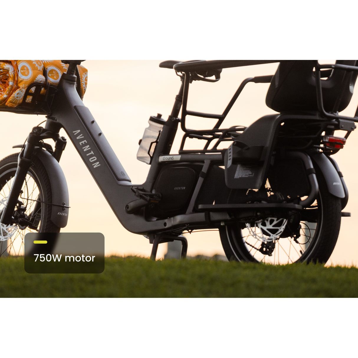 Abound LR Ebike