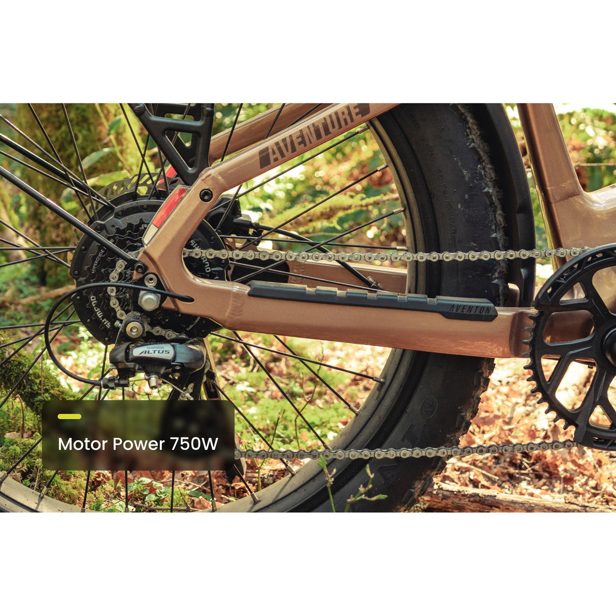 Aventure 3 Step-Through Ebike