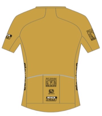 "The Gold Standard" - Men's Giordana Vero Forma Lyte Low Collar Cycling Jersey
