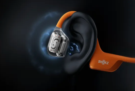 Shokz