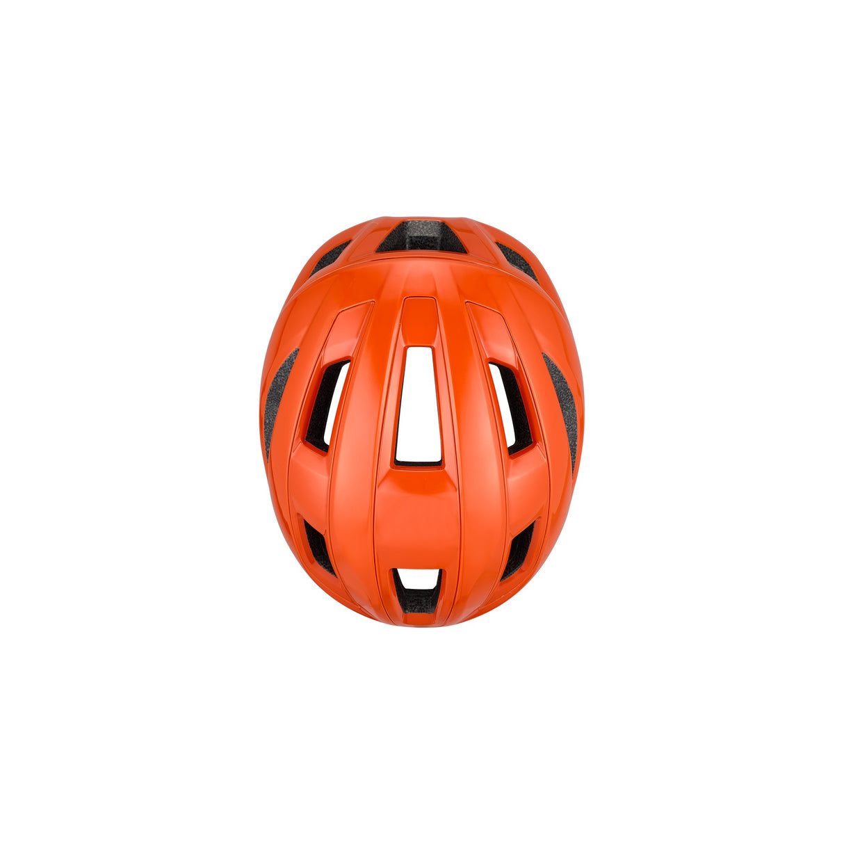 Search MIPS Evolve Core Helmet