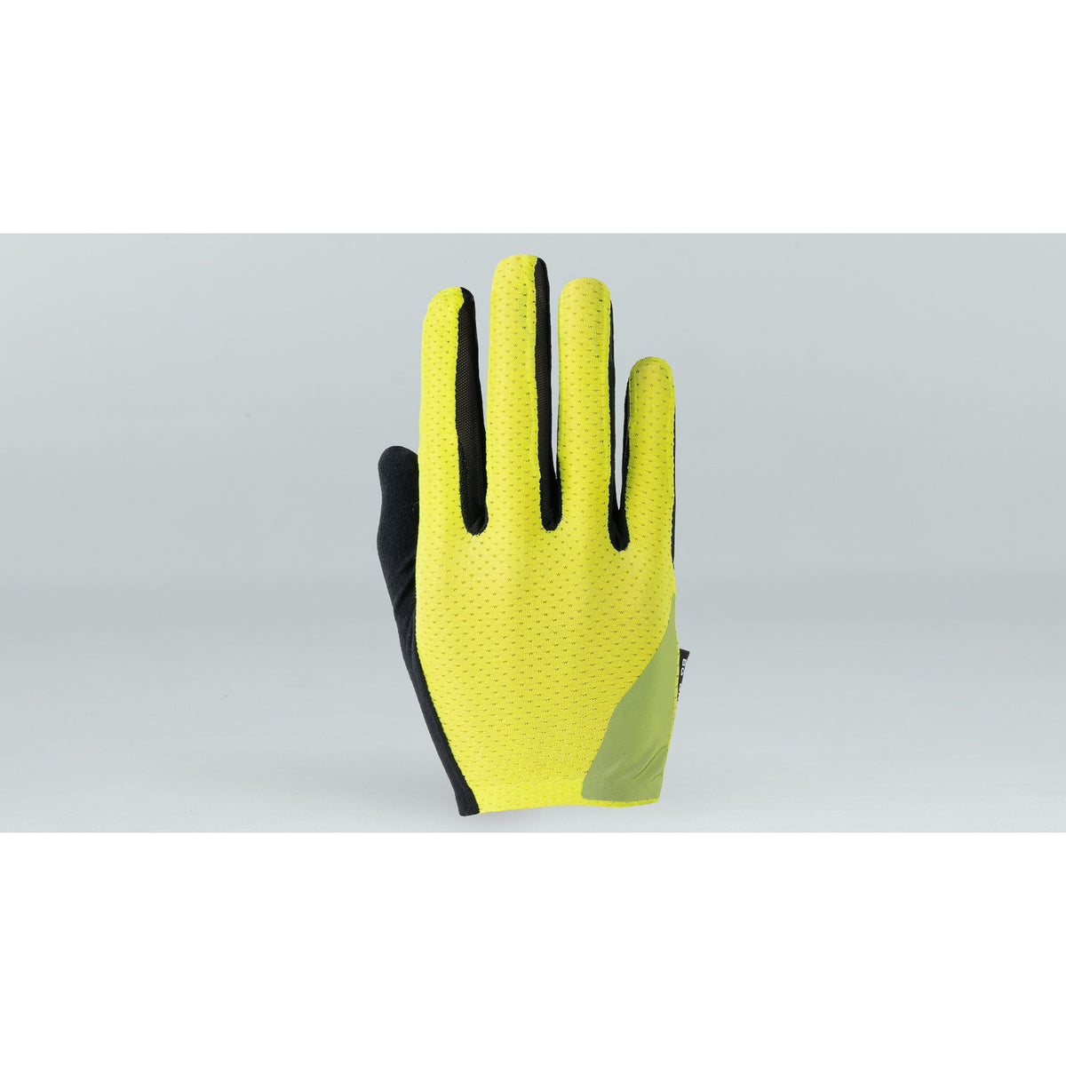Body Geometry Grail