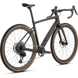 Diverge Expert Carbon