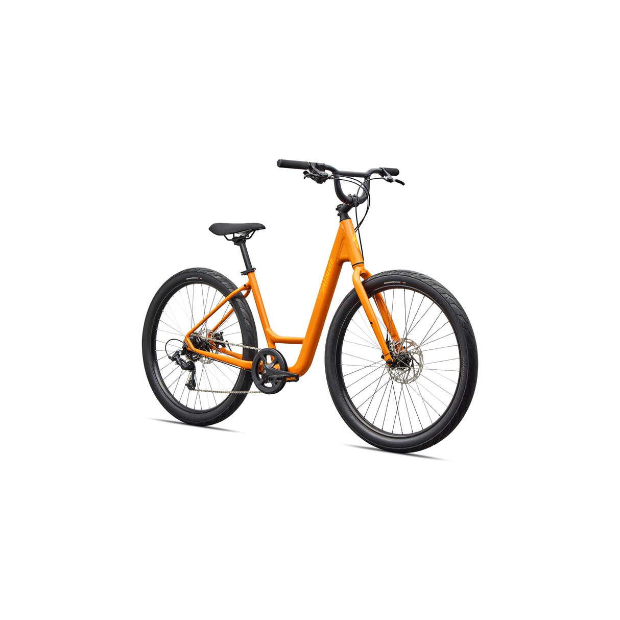 Roll 2.0 Low Entry Fitness Bike