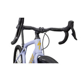 Diverge STR Expert Carbon Gravel Bike