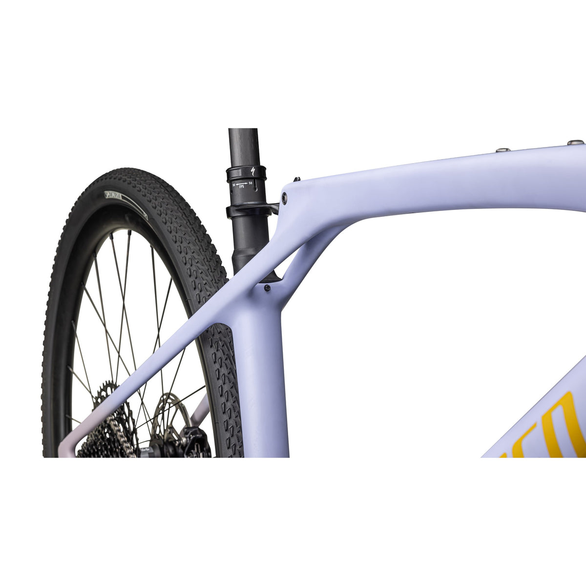 Diverge STR Expert