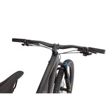 Stumpjumper EVO Expert
