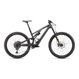 Stumpjumper EVO Expert