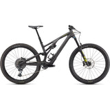Stumpjumper EVO Expert