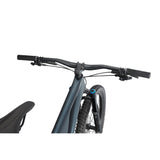 Stumpjumper EVO Expert