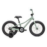 Riprock Coaster Brake