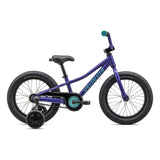 Riprock Coaster Brake