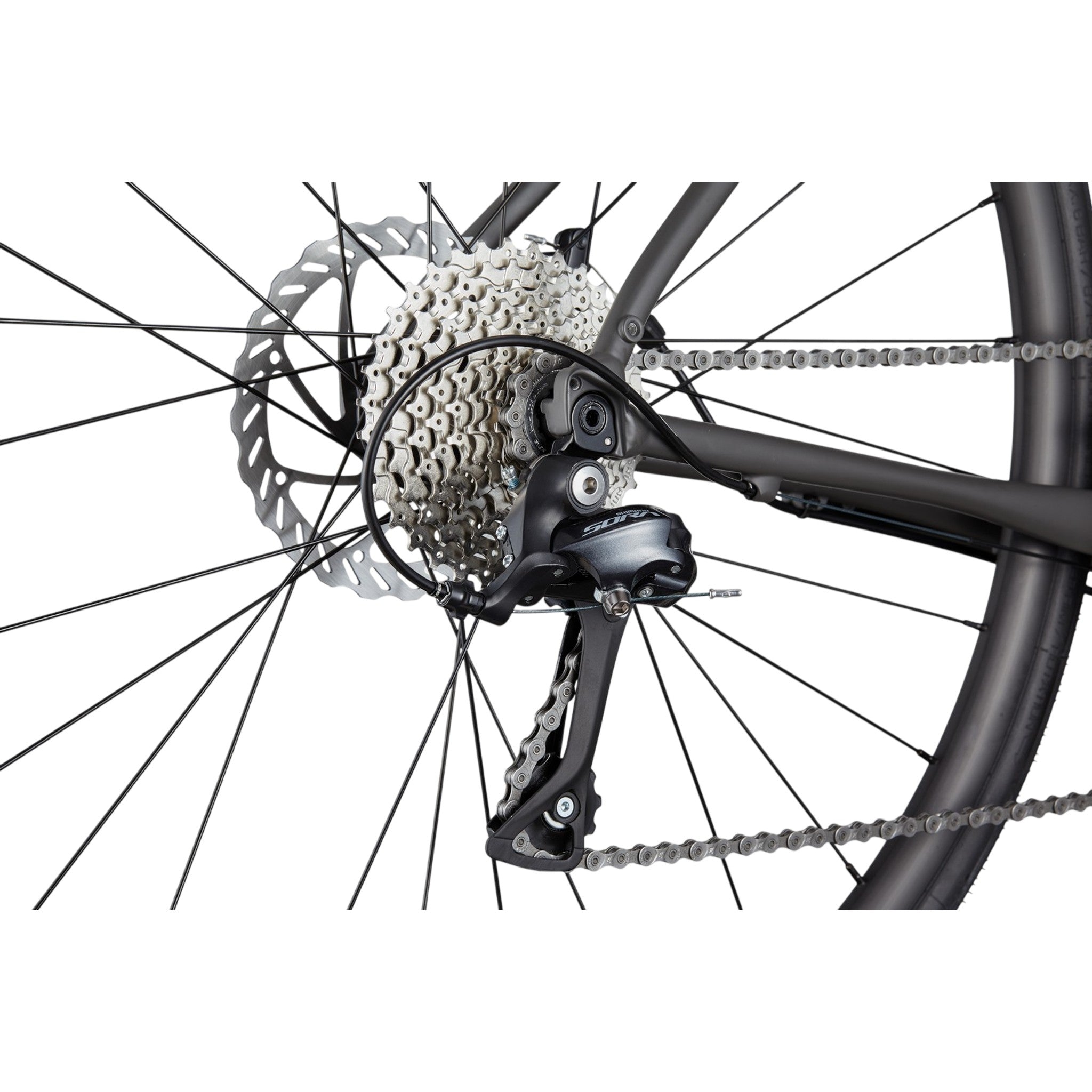 Synapse 3