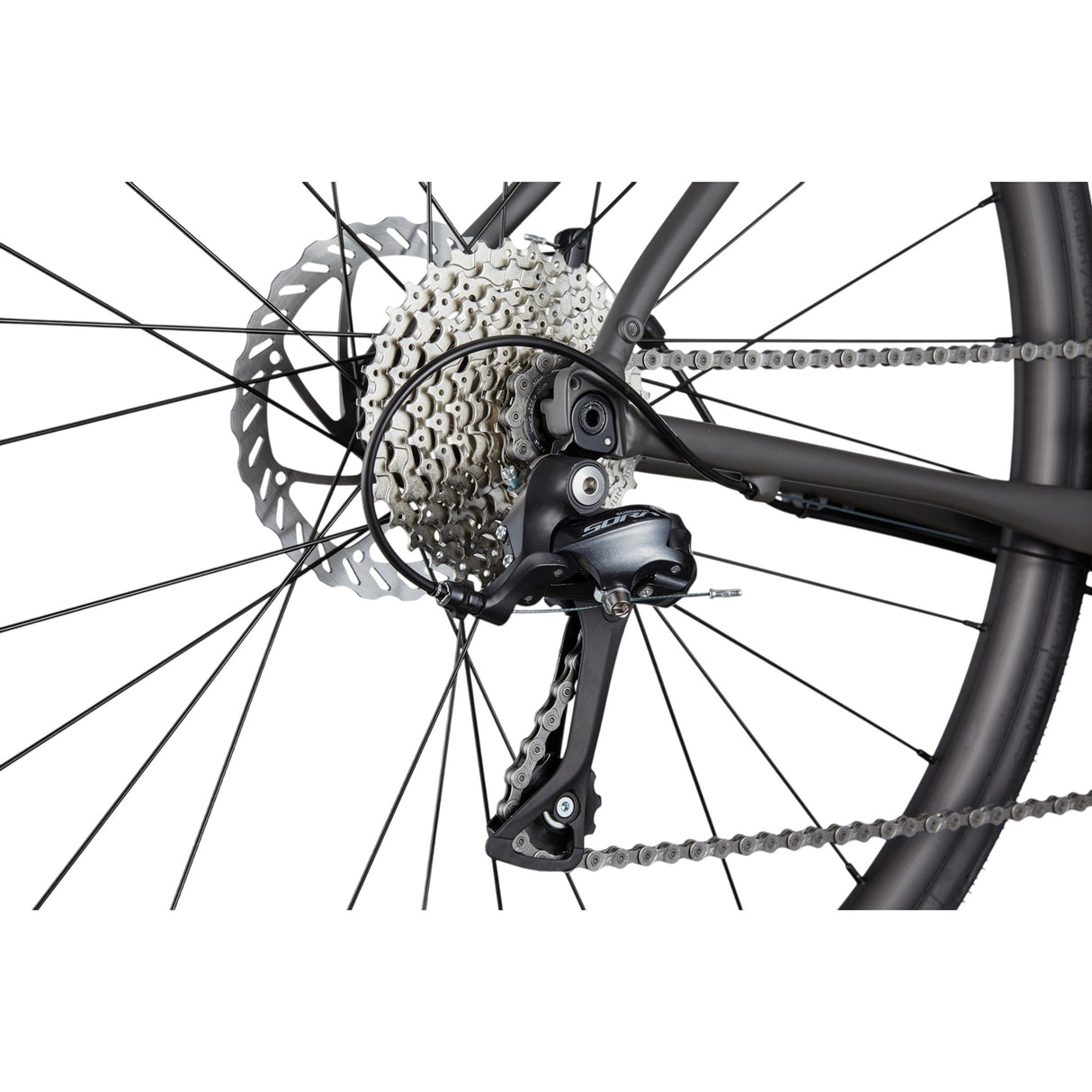 Synapse 3