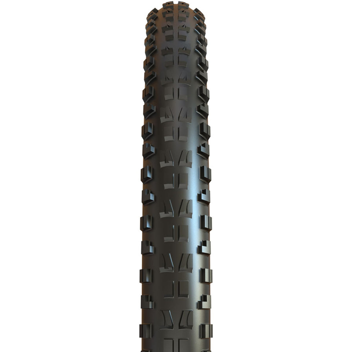 Minion DHF Tire