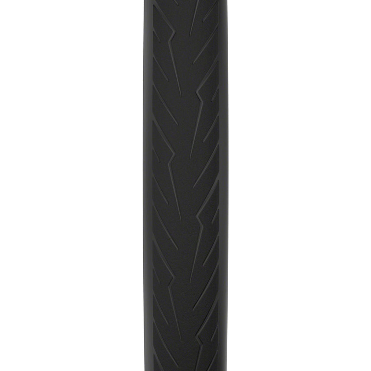 Cinturato Velo TLR Tire