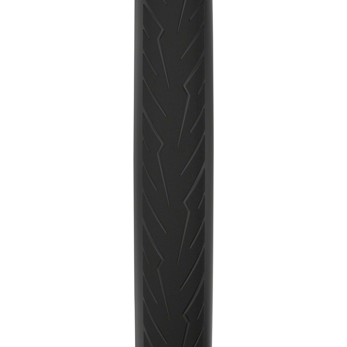 Cinturato Velo TLR Tire