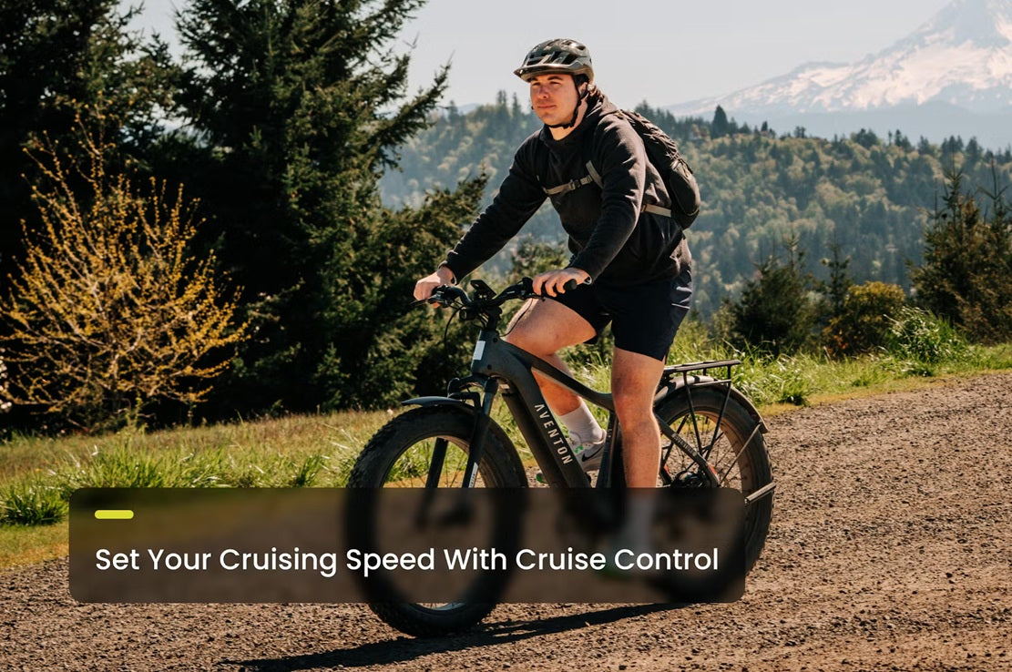 Aventon Aventure 3 Step Through All Terrain E-Bike