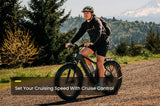 Aventon Aventure 3 Step Through All Terrain E-Bike