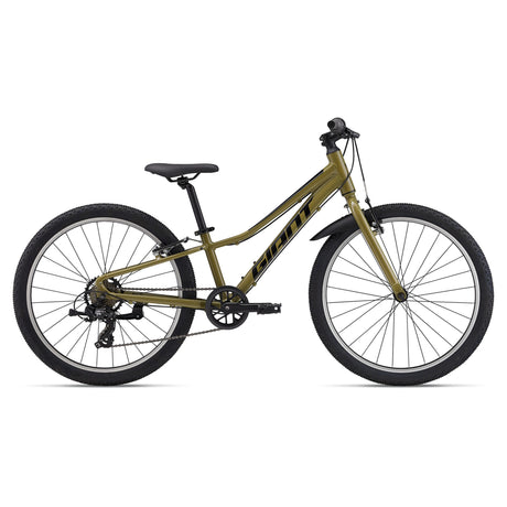 Talon 24 Lite