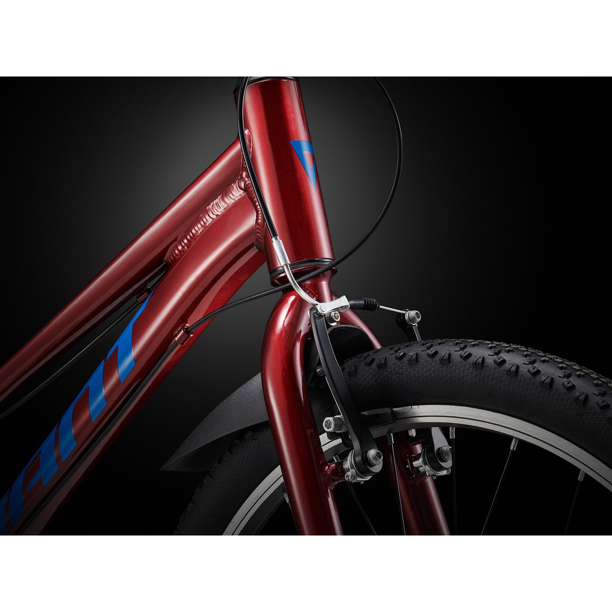 Talon 24 Lite