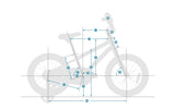 Batch Disney Frozen® 12 Kids Bicycle