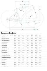 Cannondale Synapse 4 Carbon Endurance Road Bike