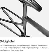 Cannondale Synapse Carbon 4 Road Bike