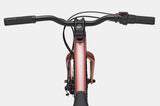 Cannondale Trail Plus 20 Kid's Mountain Bike (Recommended for height 3'10" to 4'3")