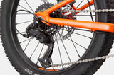 Cannondale Trail Plus 20 Kid's Mountain Bike (Recommended for height 3'10" to 4'3")