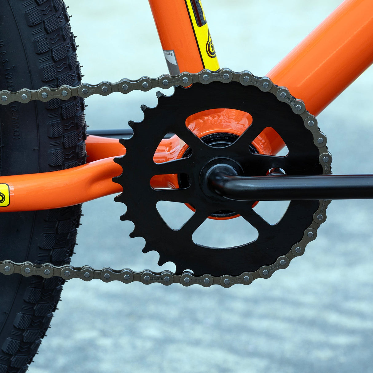 Basher 24"