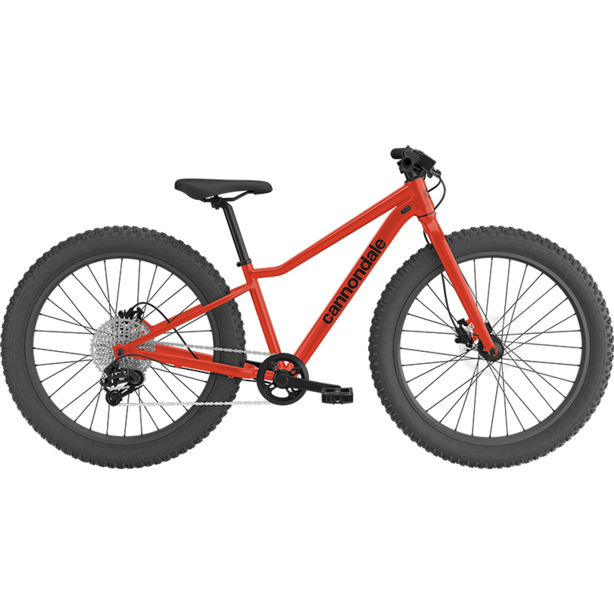 Trail Plus 24