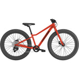 Trail Plus 24