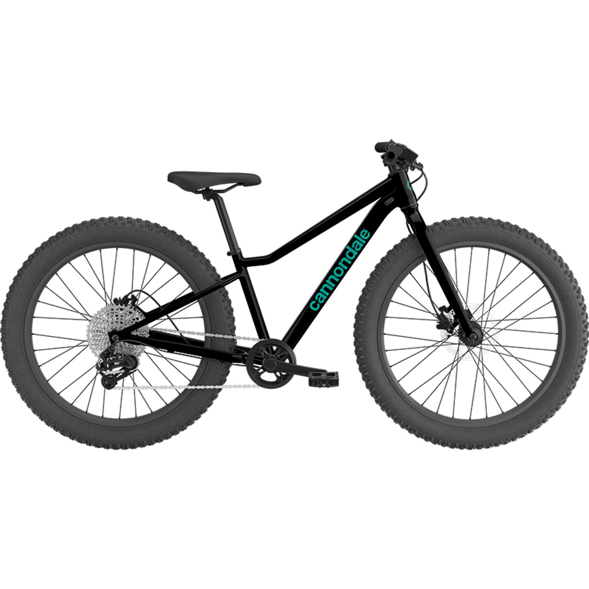 Trail Plus 24