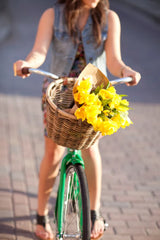 Nantucket Bike Co. Tuckernuck Oval  Basket