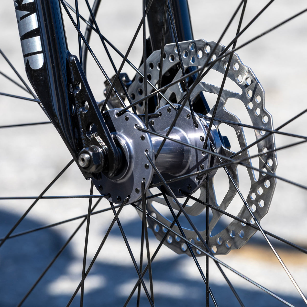Fast Ripper 29"
