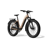Aventure 3 Step-Through Ebike