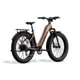 Aventure 3 Step-Through Ebike