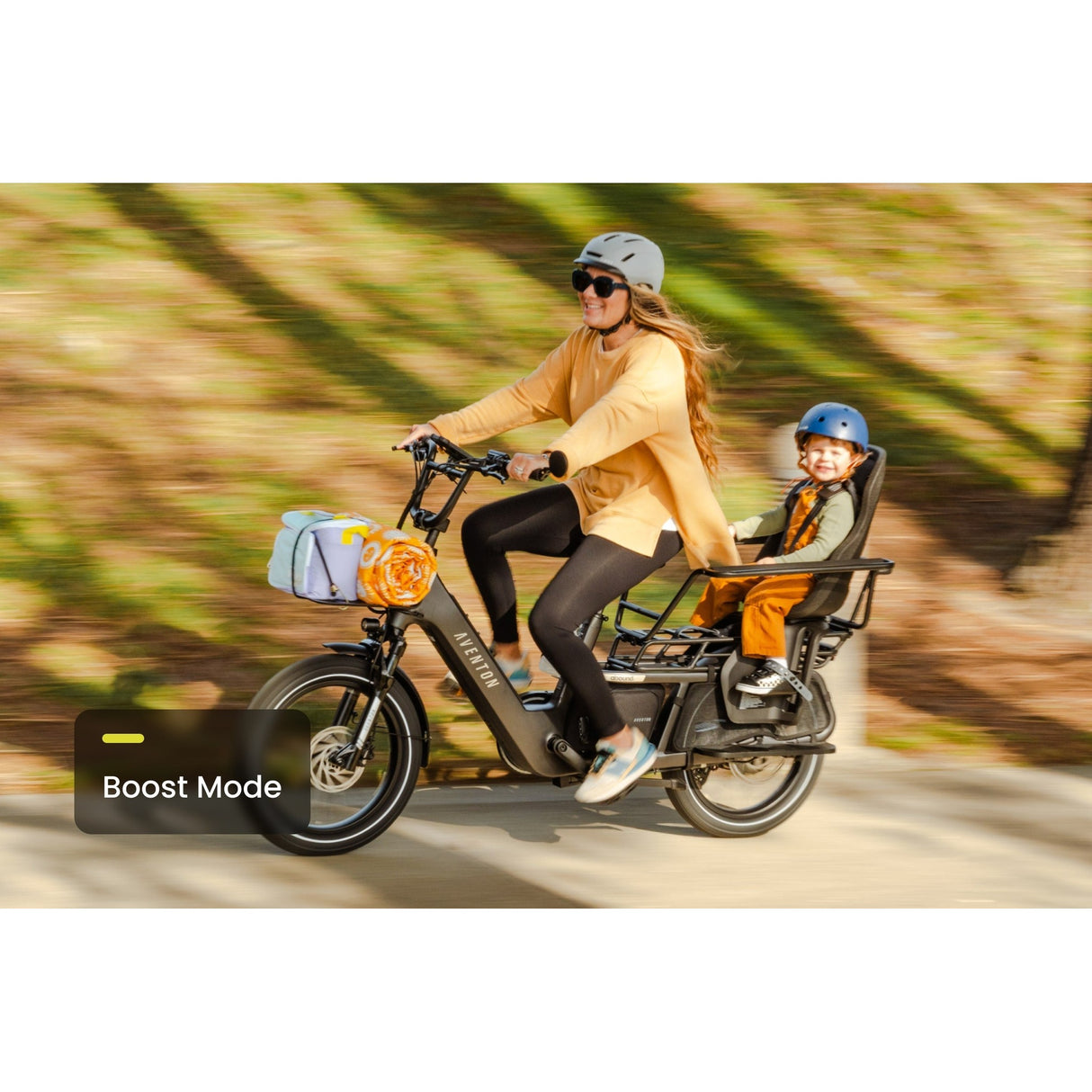 Abound LR Ebike