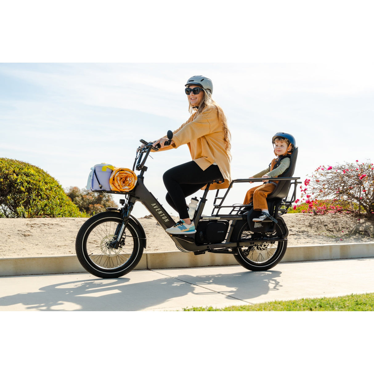 Abound LR Ebike