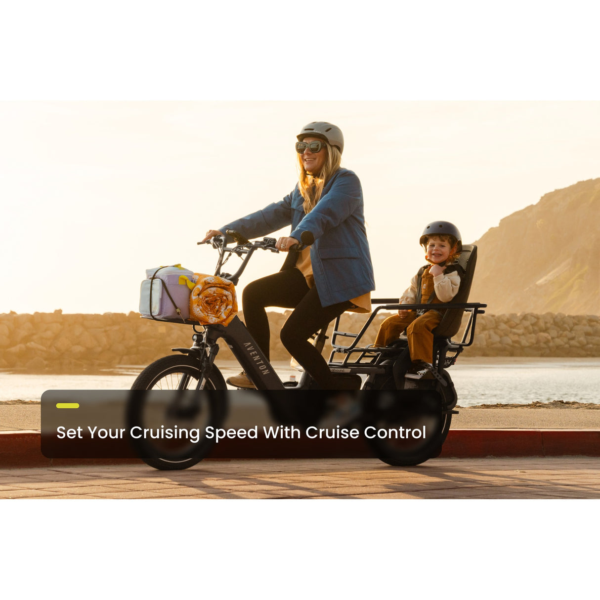 Abound LR Ebike